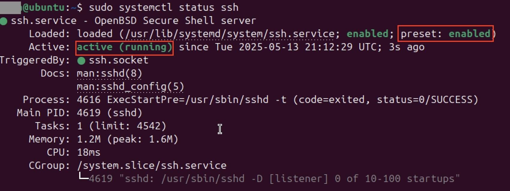 Screenshot of the status of SSH in the terminal Bild: Screenshot of the status of SSH in the terminal