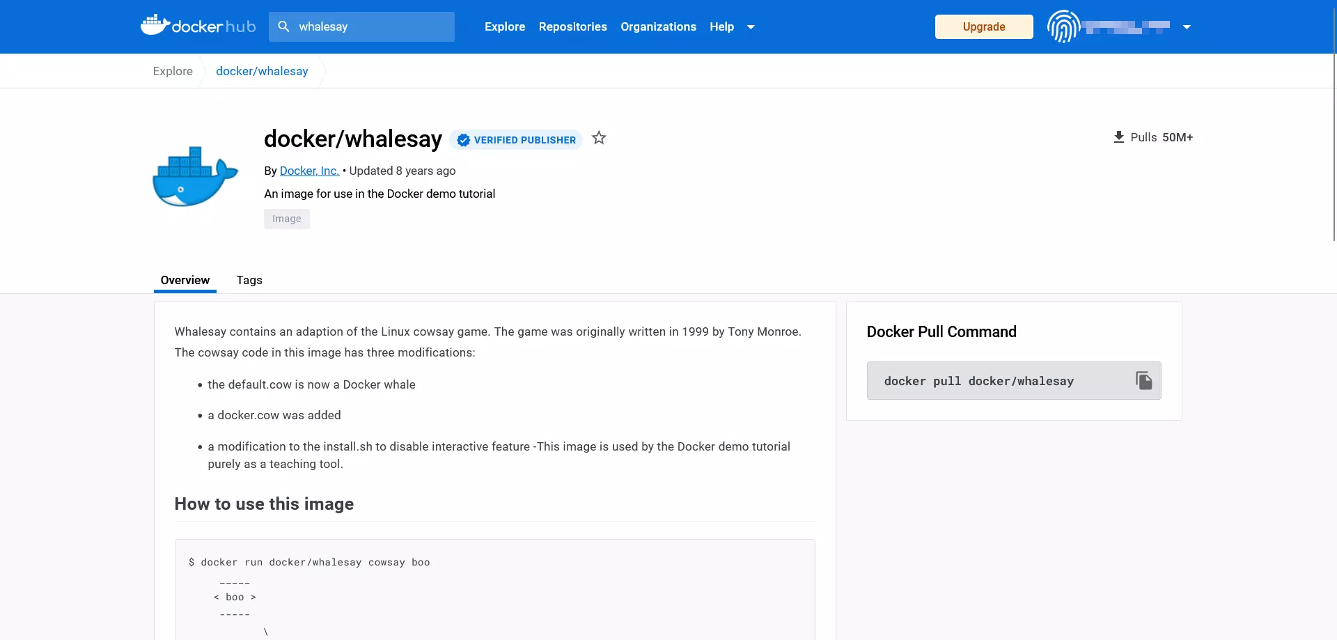 Bild: Web view of a Docker repository