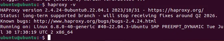 Afbeelding: Screenshot of the current HAProxy version in the terminal