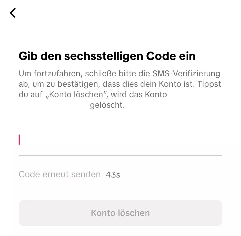 Bild: TikTok löschen: Eingabemaske für den Bestätigungscode