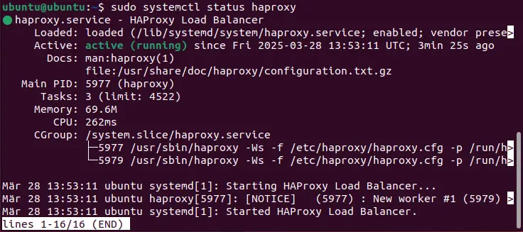 Afbeelding: Screenshot of the current HAProxy status in the terminal
