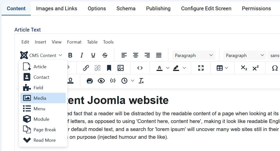 Joomla: Insert image in the TinyMCE editor Bild: Joomla: Insert image in the TinyMCE editor