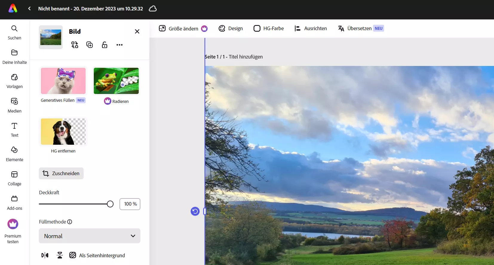 Bild: Screenshot Adobe Express