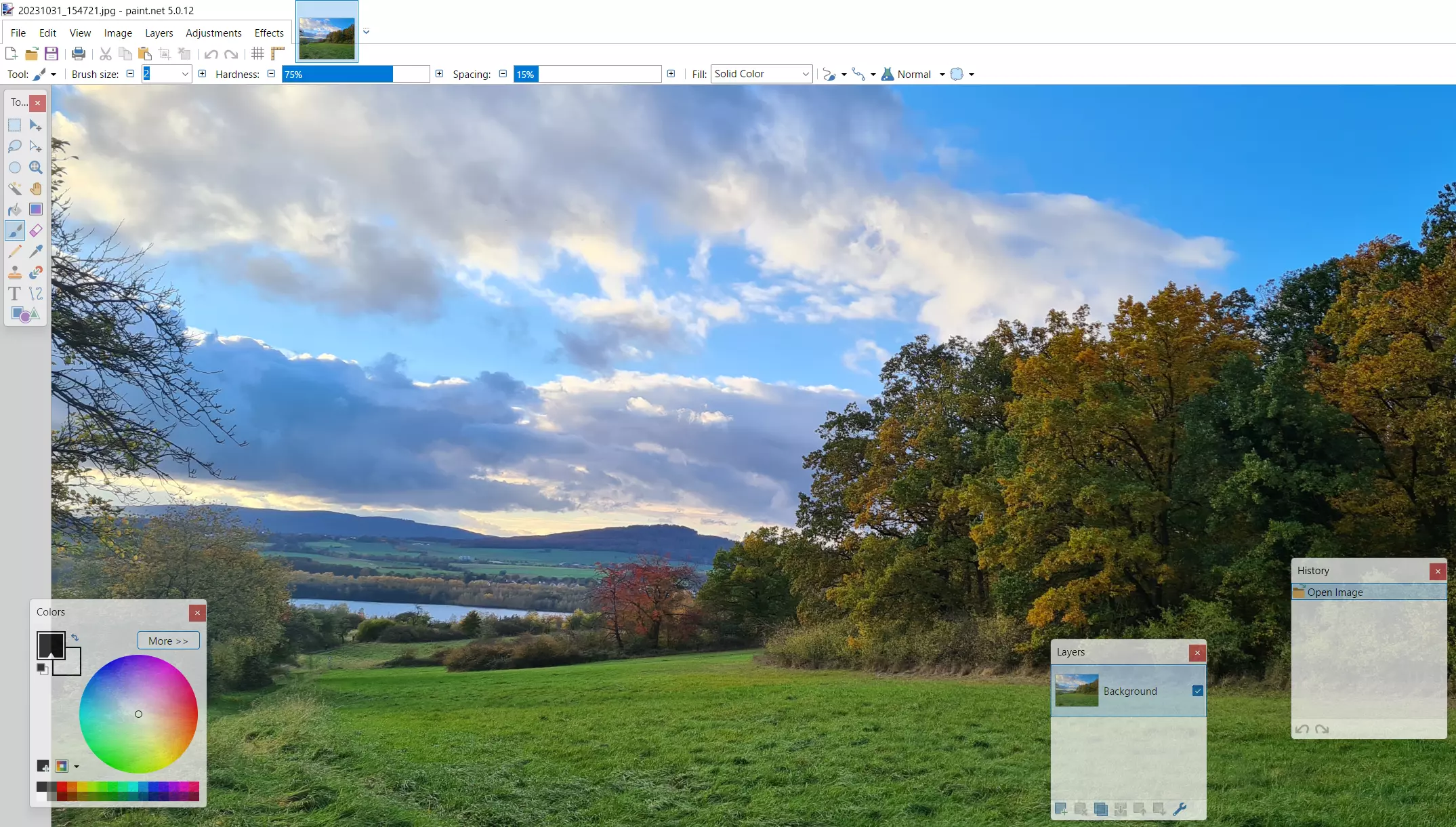 Screenshot from Paint.NET Bild: Screenshot from Paint.NET