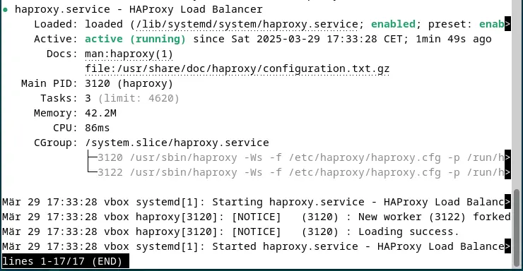 Screenshot of the current HAProxy status in the terminal Afbeelding: Screenshot of the current HAProxy status in the terminal