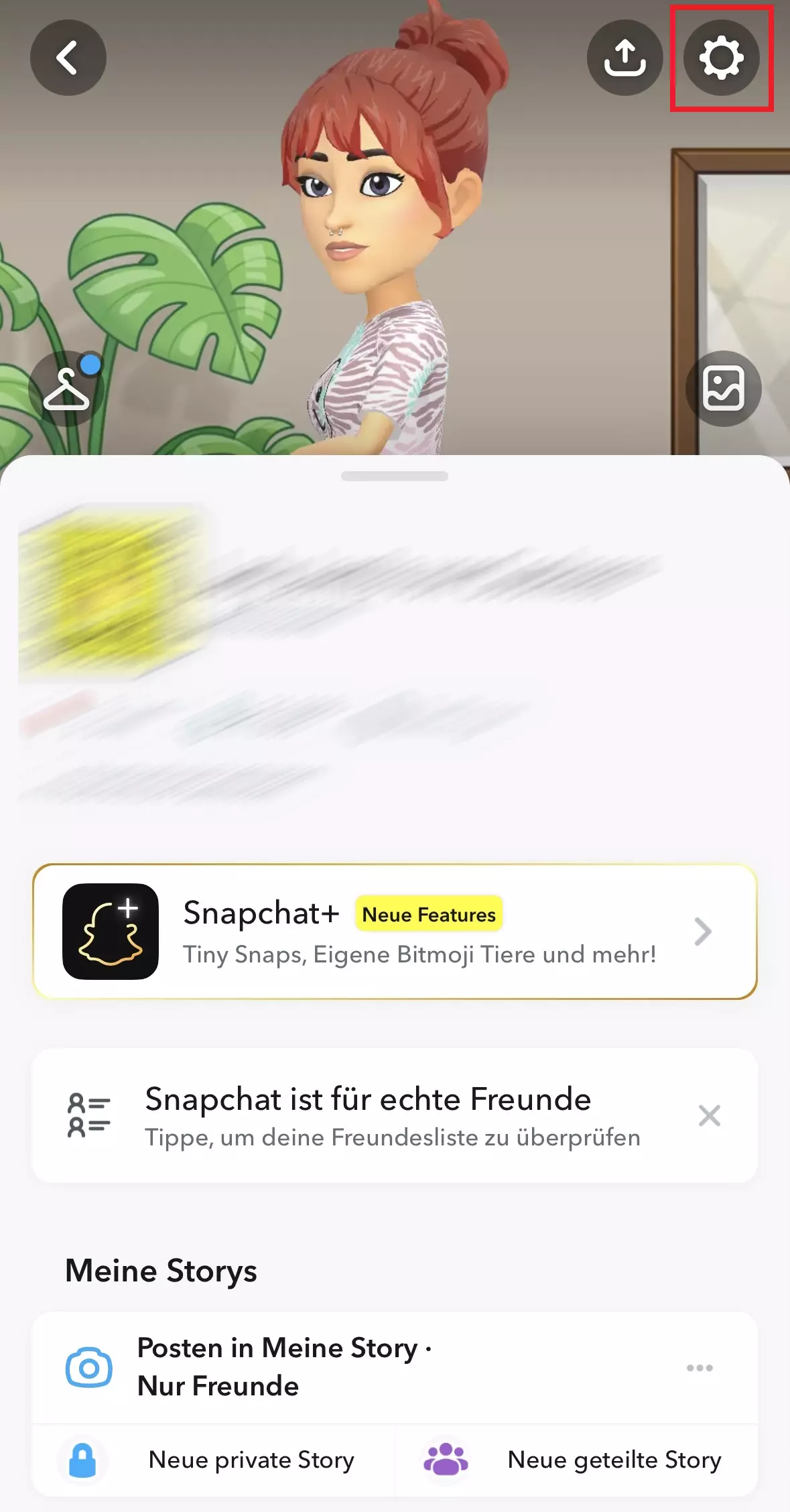 Bild: Snapchat-Profilansicht