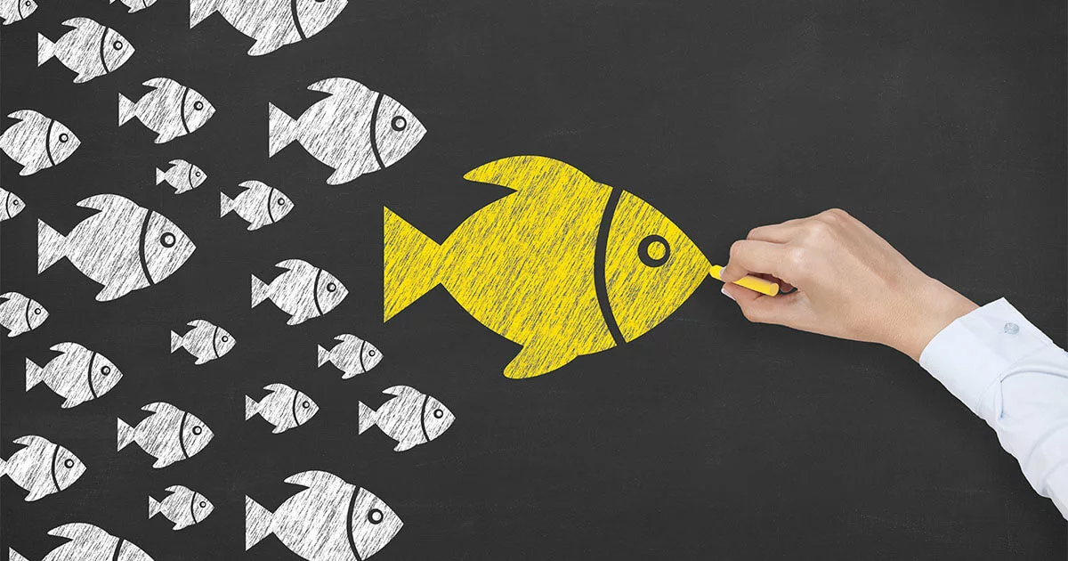 Bild: Vad är influencer-marknadsföring?