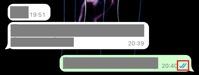 Bild: Screenshot of a sent message status on WhatsApp