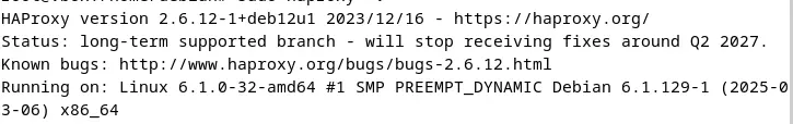 Screenshot of the current HAProxy version in the terminal Afbeelding: Screenshot of the current HAProxy version in the terminal